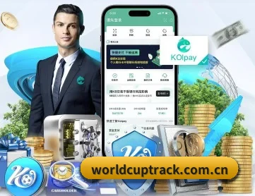 世界杯比分 APP