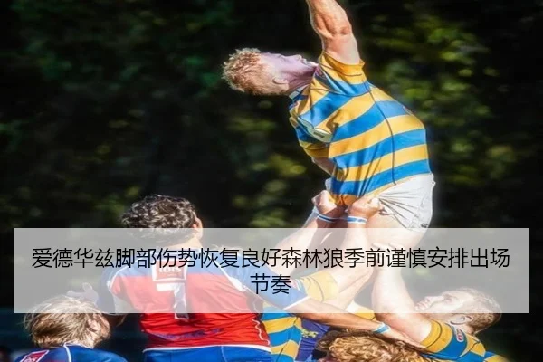 爱德华兹脚部伤势恢复良好森林狼季前谨慎安排出场节奏
